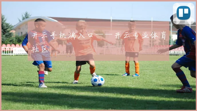 开云手机端入口——开云专业体育社区