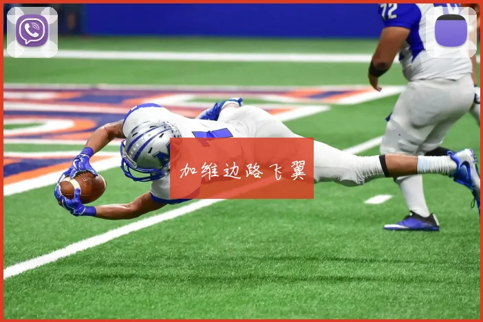 加维边路飞翼