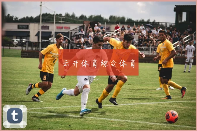 云开体育综合体育