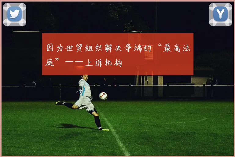 因为世贸组织解决争端的“最高法庭”——上诉机构