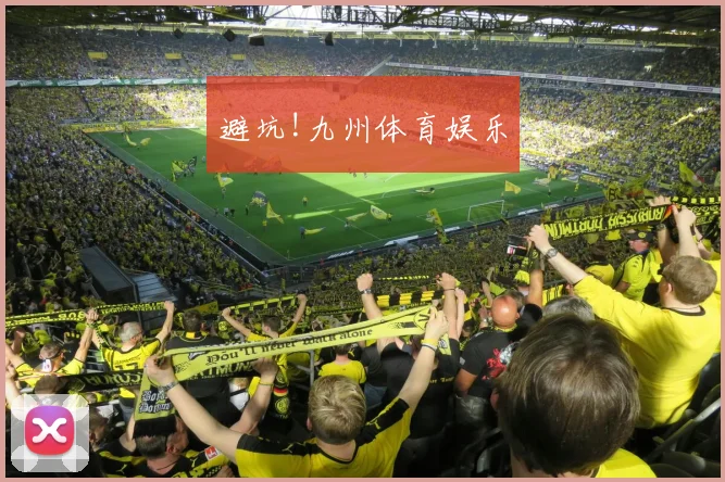 避坑!九州体育娱乐