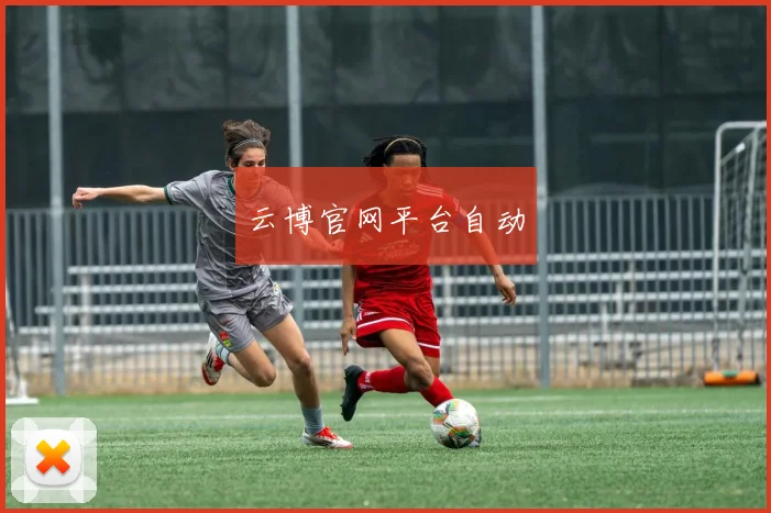 云博官网平台自动