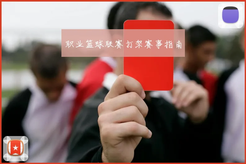 职业篮球联赛打架赛事指南