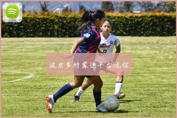 波尔多特蒙德平台流程