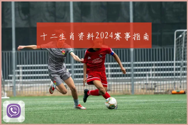 十二生肖资料2024赛事指南