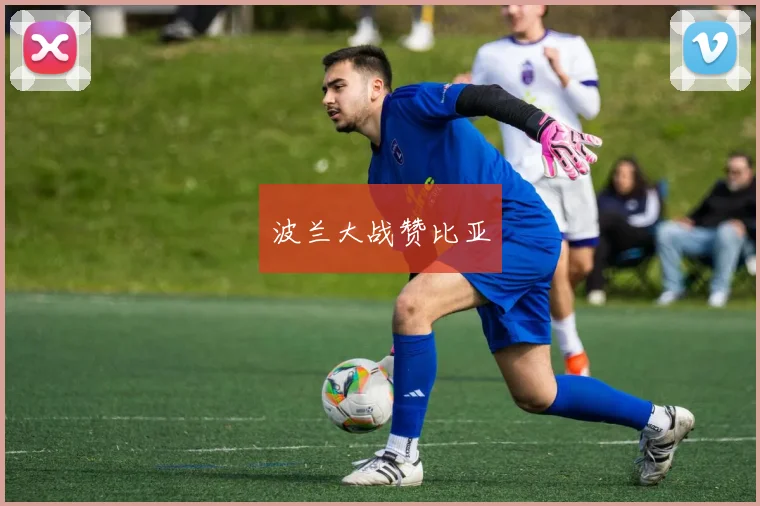 波兰大战赞比亚