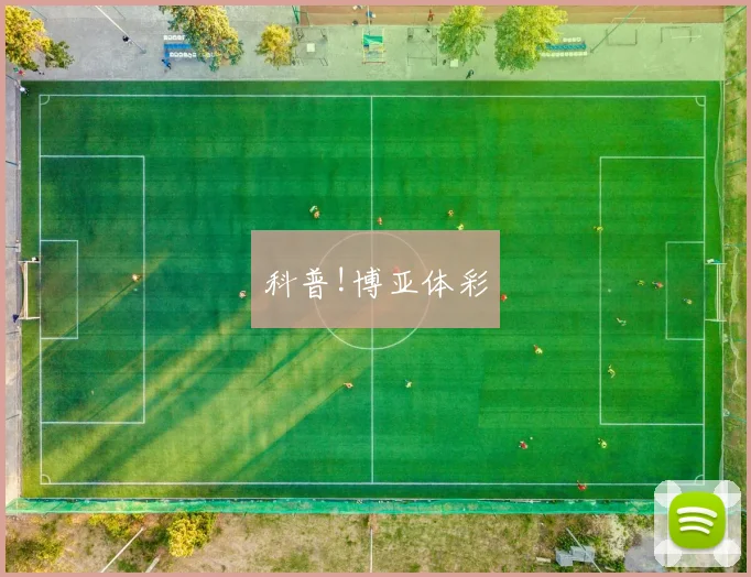 科普!博亚体彩