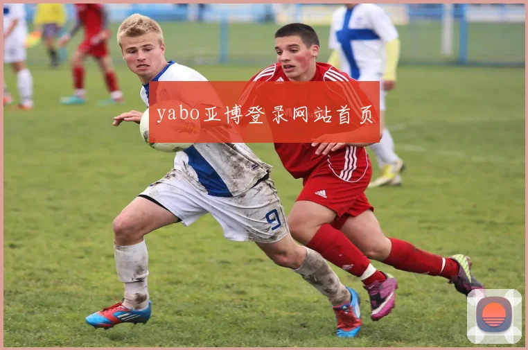 yabo亚博登录网站首页