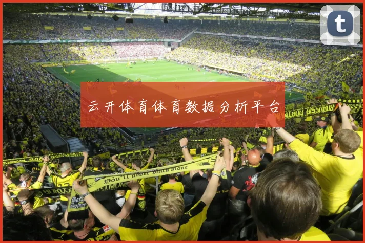 云开体育体育数据分析平台