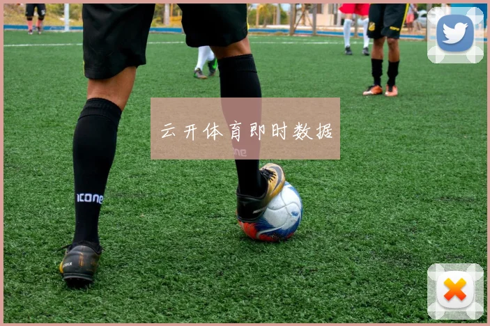 云开体育即时数据