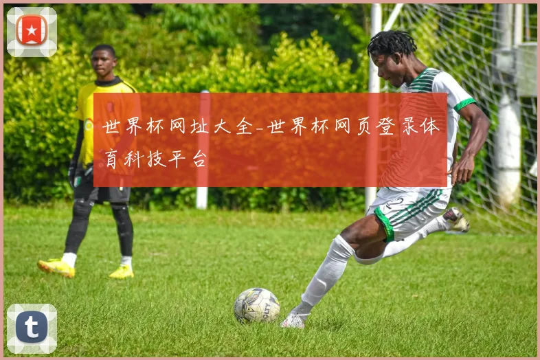 世界杯网址大全_世界杯网页登录体育科技平台