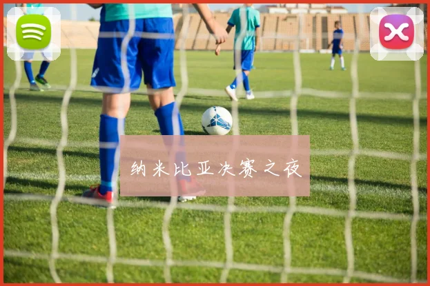 纳米比亚决赛之夜