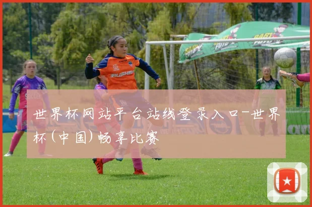 世界杯网站平台站线登录入口-世界杯(中国)畅享比赛