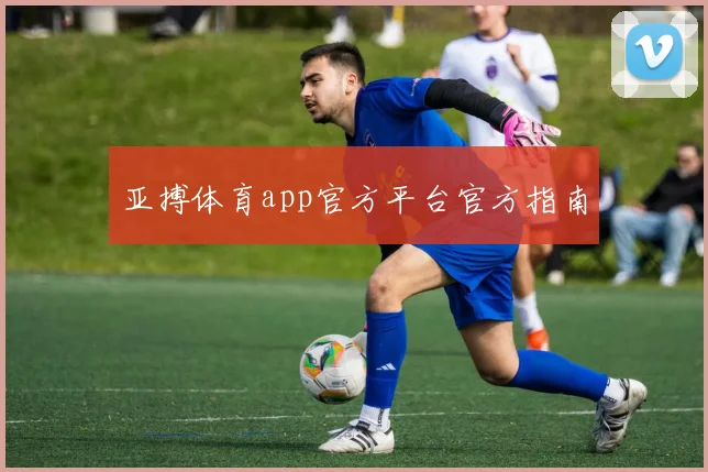 亚搏体育app官方平台官方指南