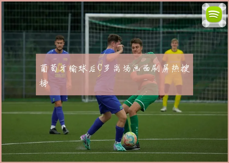 葡萄牙输球后C罗离场画面刷屏热搜榜