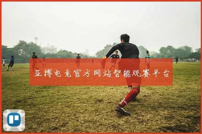 亚搏电竞官方网站智能观赛平台