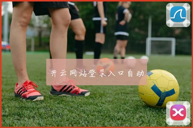开云网站登录入口自动