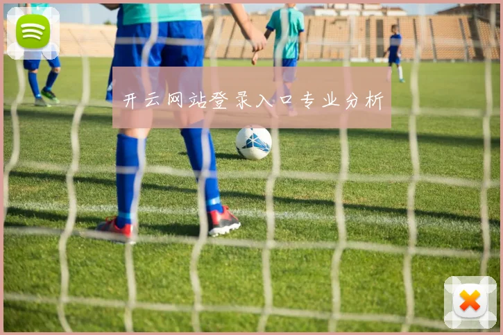 开云网站登录入口专业分析
