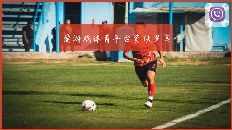 爱游戏体育平台资助罗马
