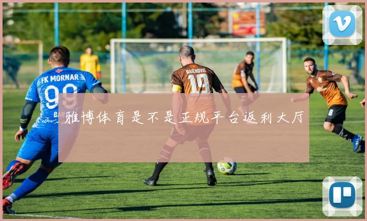 雅博体育是不是正规平台返利大厅