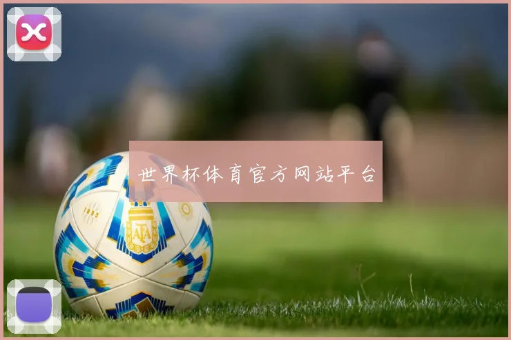 世界杯体育官方网站平台