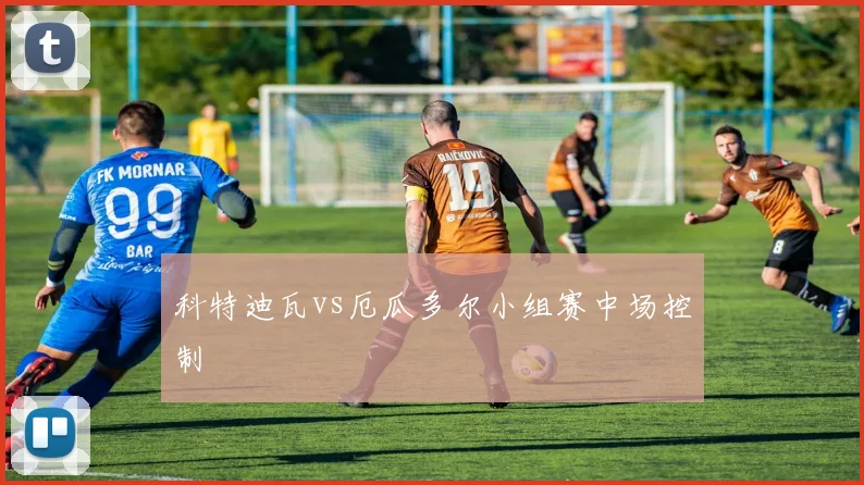 科特迪瓦vs厄瓜多尔小组赛中场控制
