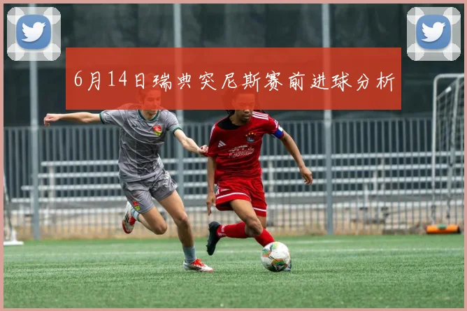 6月14日瑞典突尼斯赛前进球分析