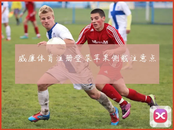 威廉体育注册登录苹果侧载注意点