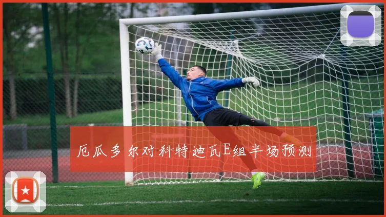 厄瓜多尔对科特迪瓦E组半场预测